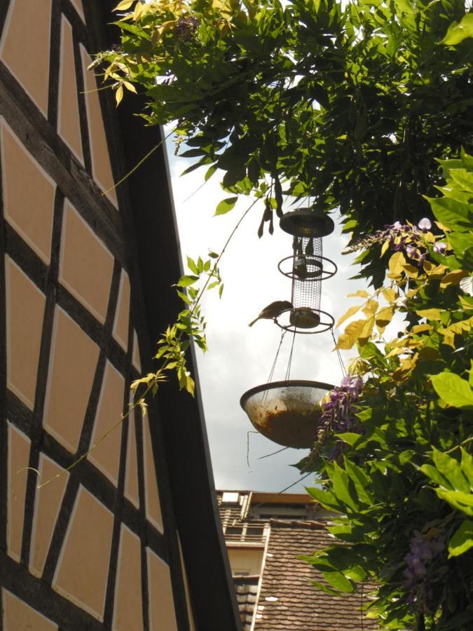 Amtorli Apartment Endingen am Kaiserstuhl Exterior photo